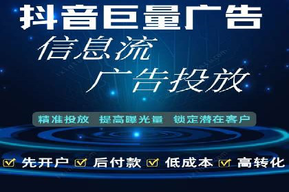 某行业领军企业的SEM广告投放策略